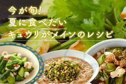 今が旬！夏に食べたいキュウリがメインのレシピ