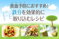 鉄分はビタミンやミネラルなどの、吸収を助ける成分と一緒に摂取する事が重要です。しっかり鉄分を補って体調を改善しましょう。