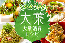 家庭菜園でぐんぐん育つ「大葉」をアレンジ！大量消費量レシピをご紹介します