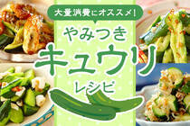 生だけではなく炒めて美味しい「キュウリのアレンジレシピ」をご紹介します