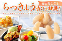 タルタルソースから漬け汁で作るピクルスなど。漬けて楽しく、使って美味しく！