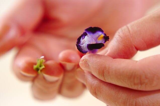 フラワージュレのスパークリングワインの作り方の手順1