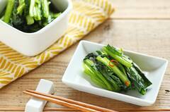 作り置きできる！小松菜の浅漬け