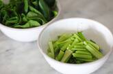 作り置きできる！小松菜の浅漬け　by つくおき　nozomiさんの作り方1