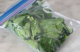 作り置きできる！小松菜の浅漬け　by つくおき　nozomiさんの作り方3