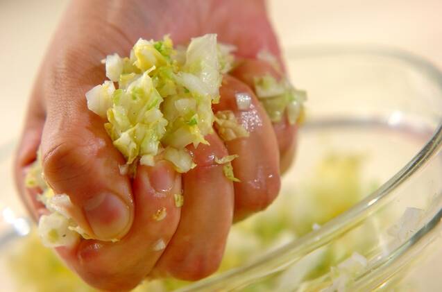 焼き餃子の作り方の手順1