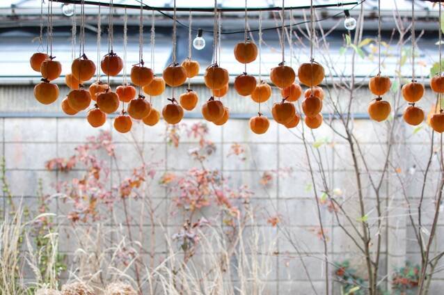 自家製干し柿の作り方の手順6