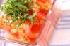 トマトと玉ネギのサラダの作り方の手順