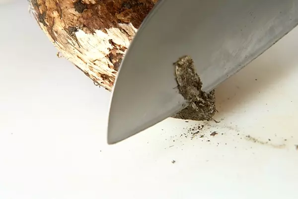 うまみが凝縮!松茸の土瓶蒸しの下準備2