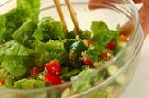 5分で絶品！チョレギサラダ 食欲そそる基本の作り方 by杉山 遊さんの作り方2