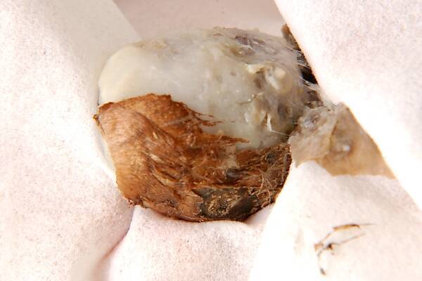 小芋の煮物の作り方の手順1