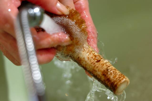 ゴボウサラダの作り方の手順1