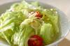 レタスのサラダ