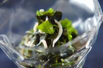 ワカメとシラスの酢の物