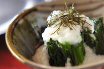 ホウレン草の山かけ