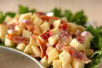 りんごのサラダ 飽きずに美味しく！大量消費にも by山下 和美さん