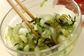塩もみ白菜の塩昆布和えの作り方1