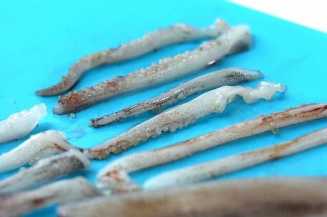 イカのサラダの作り方の手順1