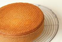 トライフルのスポンジ