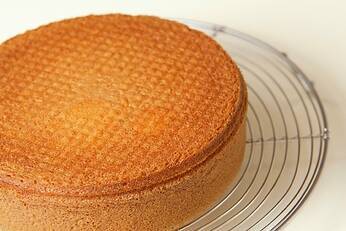 トライフルのスポンジ