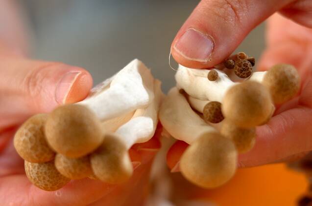 キノコのマヨみそブレッドの作り方の手順1