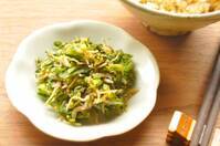 春菊の茎とシラスの佃煮