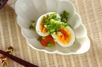 ゆで卵のコチュマヨソース添え