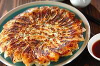 たっぷり白菜入り焼き餃子