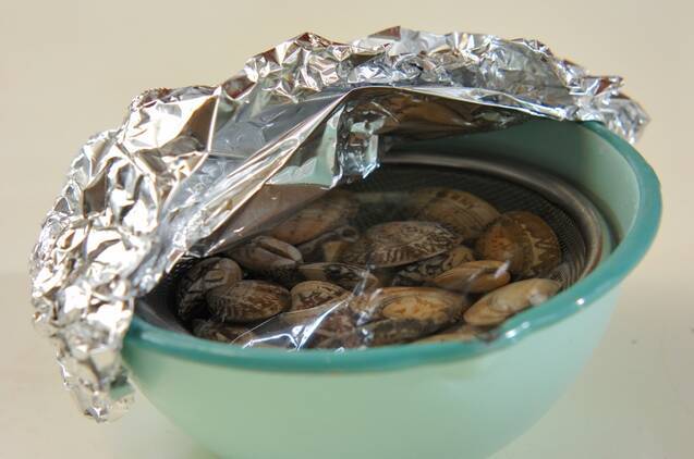 アサリとクレソンのスープの作り方の手順1