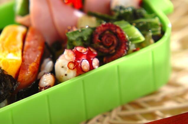 タコとチンゲンサイの塩麹炒め