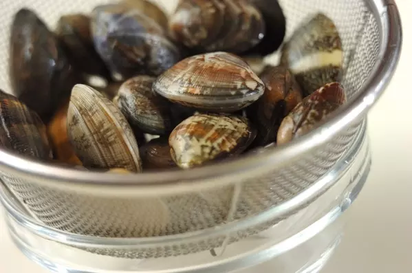 アサリ汁の下準備1