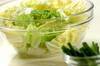 白菜の即席キムチの作り方の手順1
