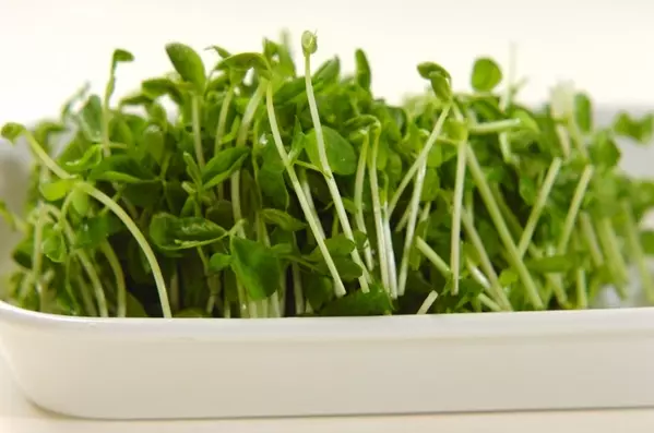 電子レンジでネギだくチキンの下準備3