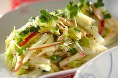 白菜とリンゴのサラダ