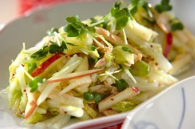 白菜とリンゴのサラダ 副菜 レシピ 作り方 E レシピ 料理のプロが作る簡単レシピ
