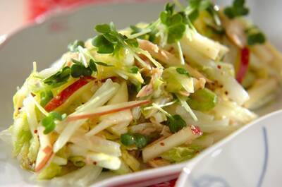 白菜とリンゴのサラダ 副菜 のレシピ 作り方 E レシピ 料理のプロが作る簡単レシピ
