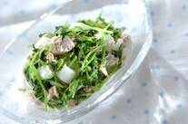 豆苗とツナのマヨネーズ和え