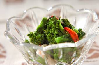 菜の花のワサビ漬け和え