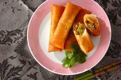 春キャベツと豚肉の春巻き