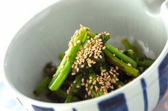 ご飯のお供に カブの葉のショウガみそ炒め