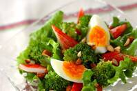 ブロッコリーとグリーンリーフのサラダ