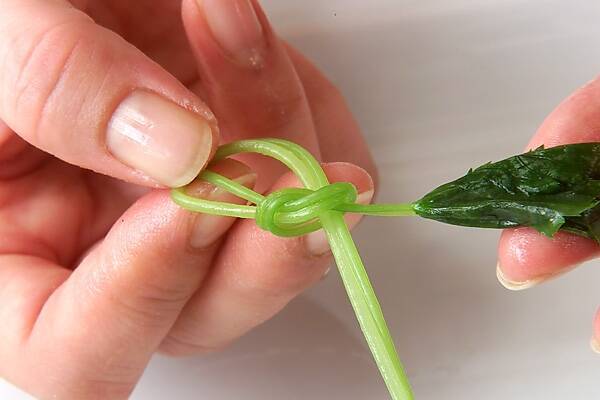 たっぷり茶わん蒸しの作り方の手順7