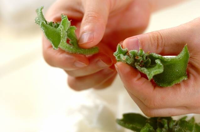 アイスプラントの生ハム巻きの作り方の手順1