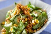 シラスと天かすのサラダ