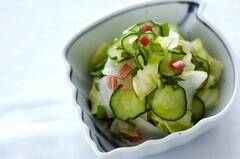 夏の薬味たっぷりの浅漬け