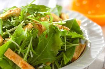 パリパリサラダとみかんドレッシング