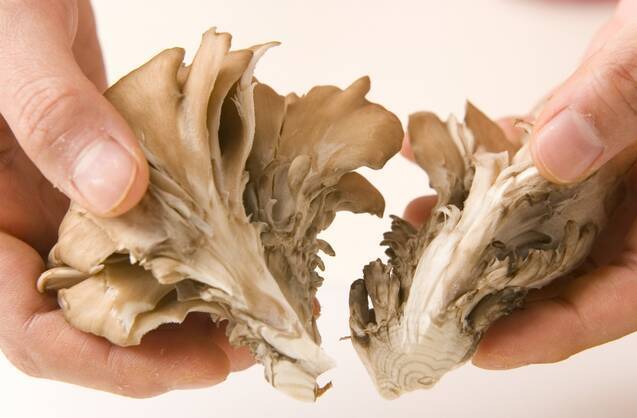 マイタケのきんぴらの作り方の手順1