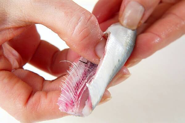 サクサク食感！イワシのフライの作り方の手順1