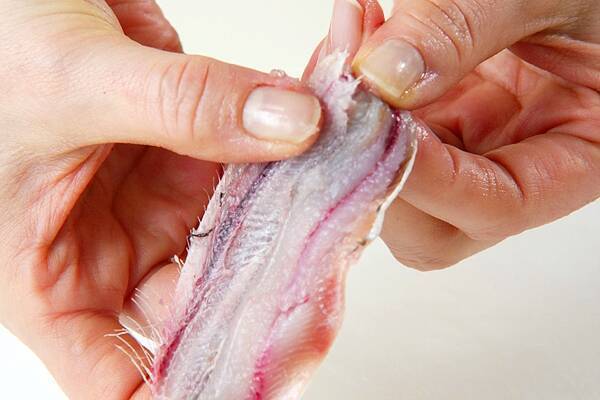 サクサク食感！イワシのフライの作り方の手順2