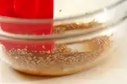 子どもにも人気！ごま油香る小松菜のナムルの作り方1